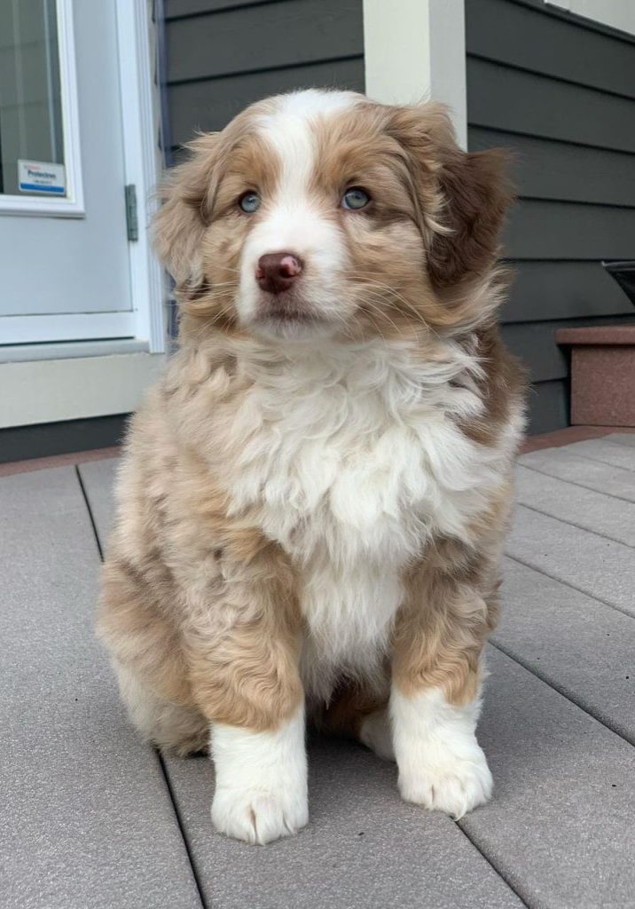 Max